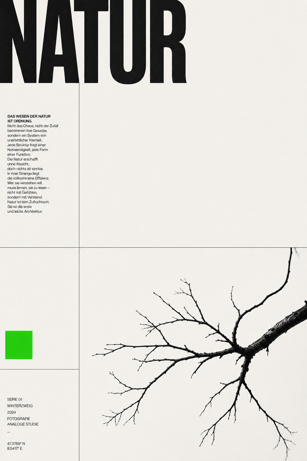 minimalist grid swiss typography - sample 4